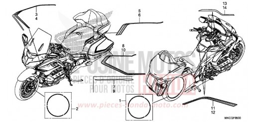 STRIPE (1) GL1800BDL de 2020